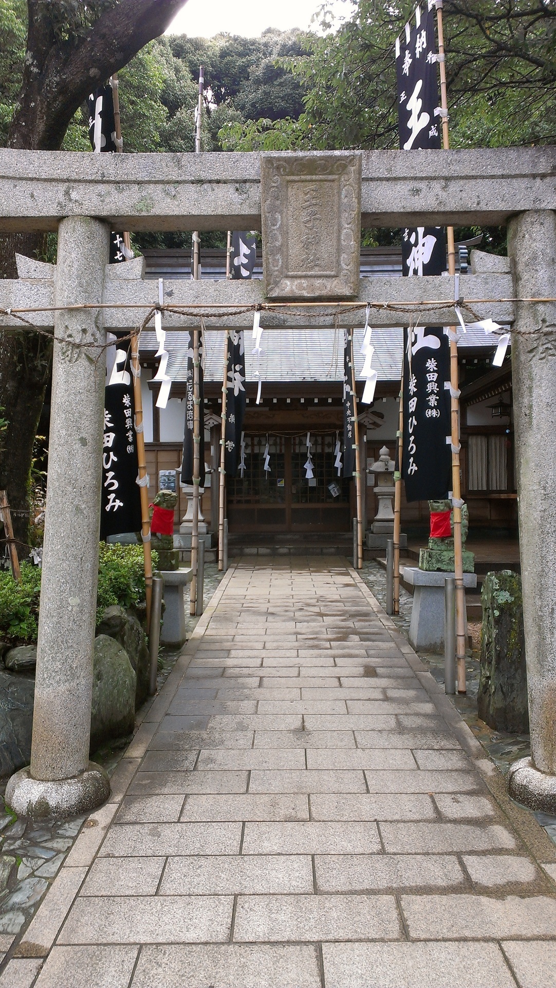 猫好きの聖地 王子神社 徳島名所めぐり